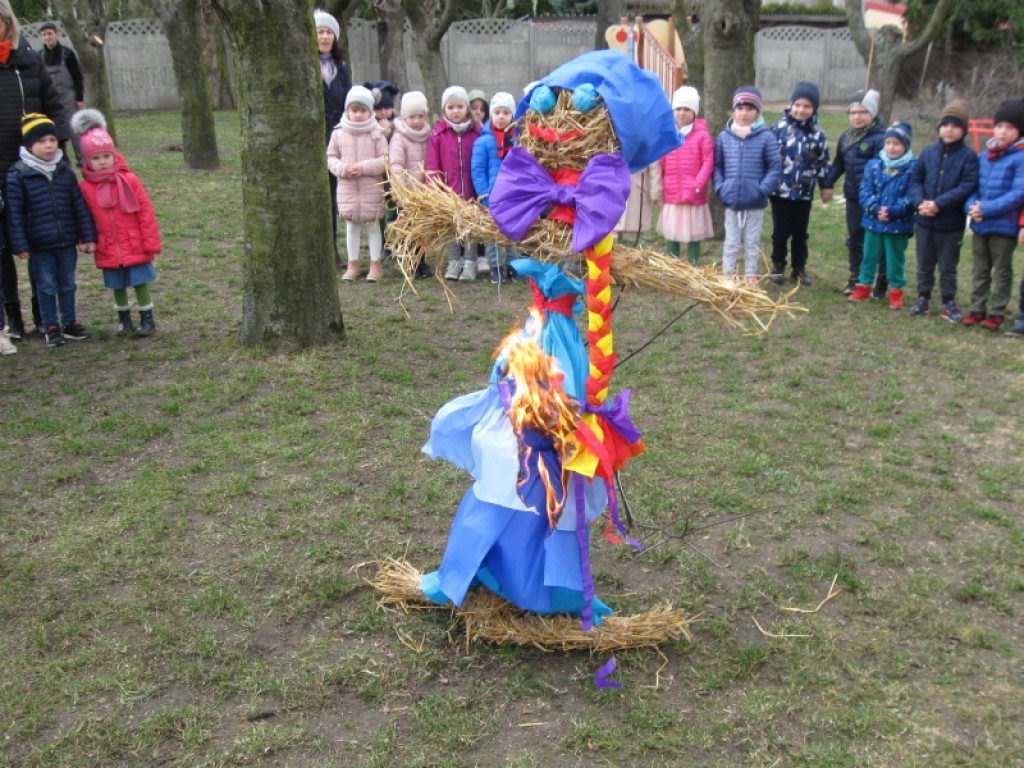 Wiosna w Stokrotce