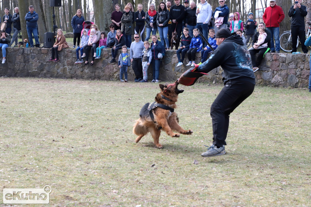 Bieg z Forrestem Reaktywacja