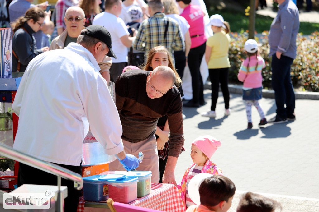 8. Majówka z Bareją
