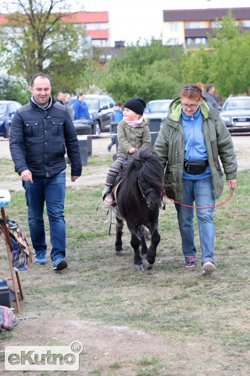 Kutnowska Majówka