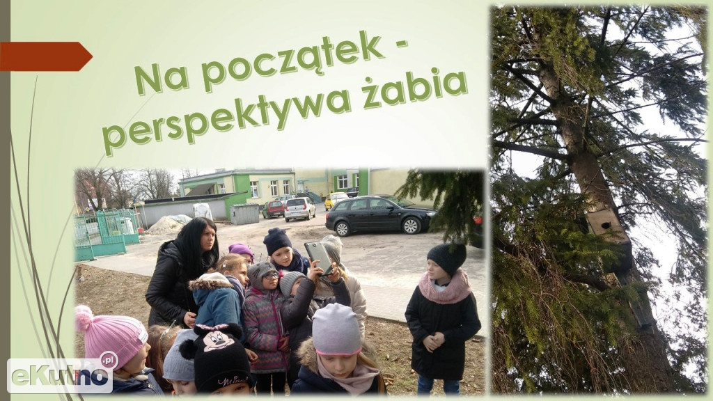 Świetlica 6 Baza