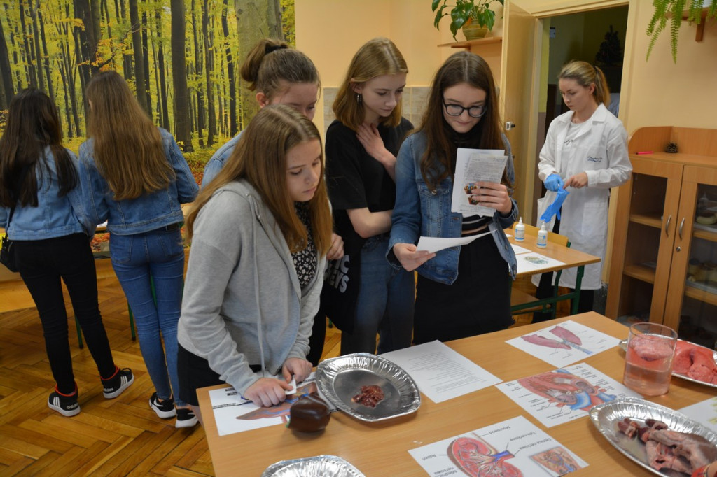 Drzwi Otwarte w Kasprowiczu