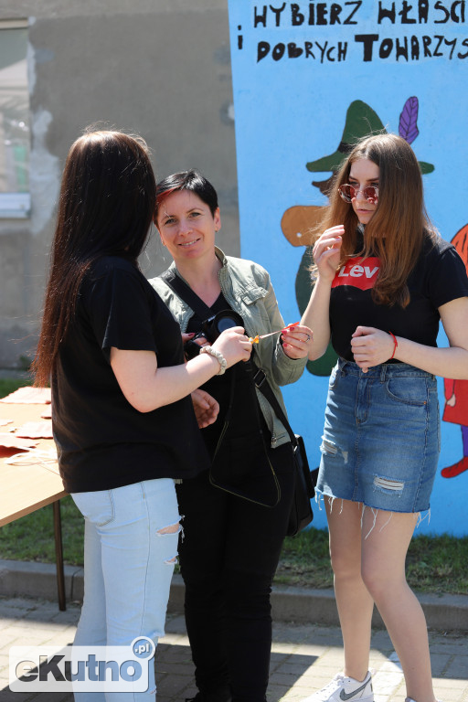 Piknik z kulturą