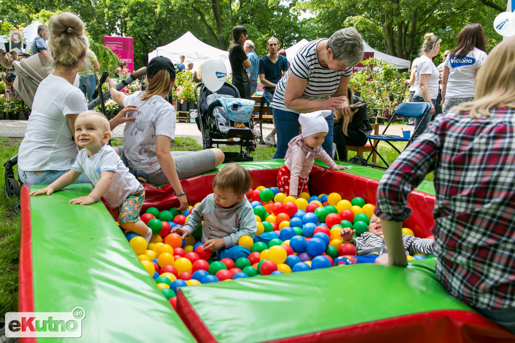 Piknik wśród Róż 2019