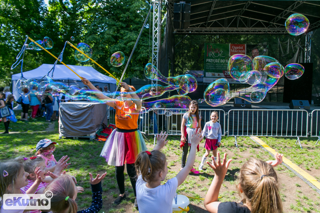 Piknik wśród Róż 2019