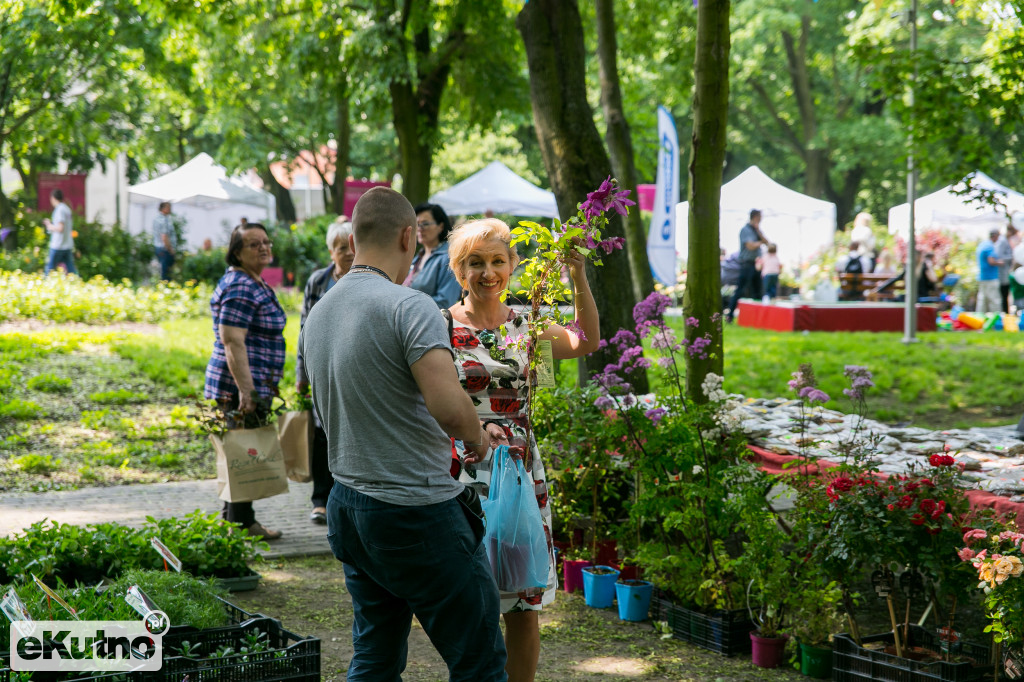 Piknik wśród Róż 2019