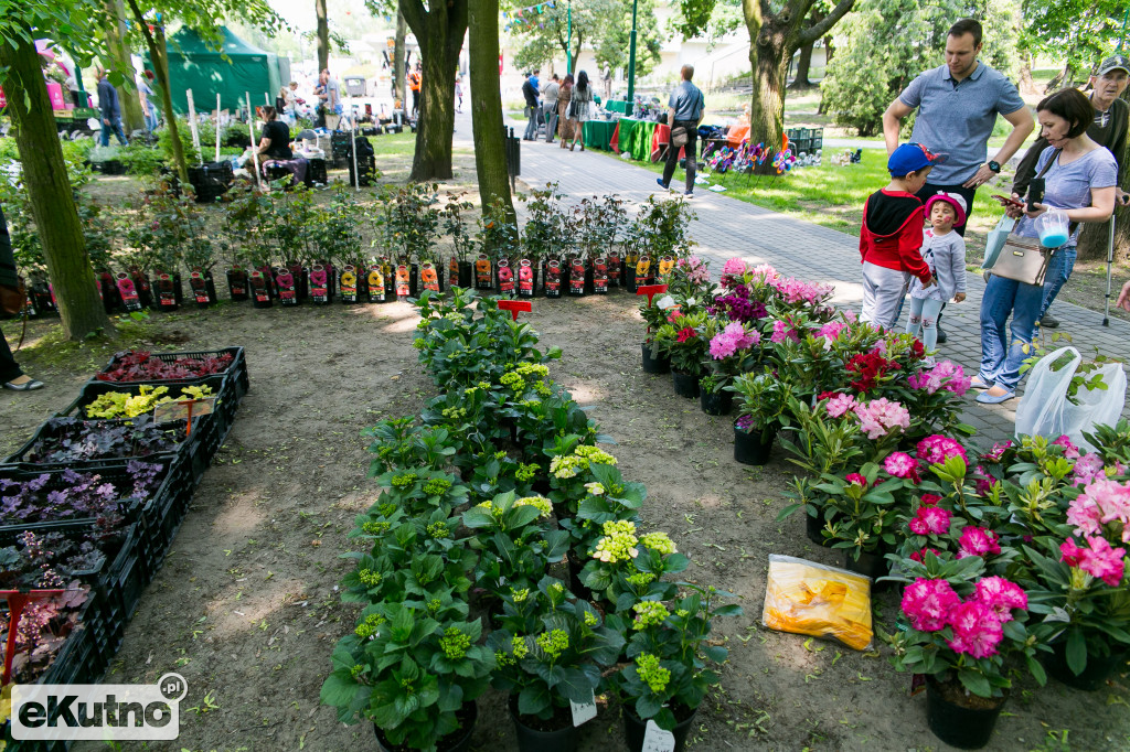 Piknik wśród Róż 2019