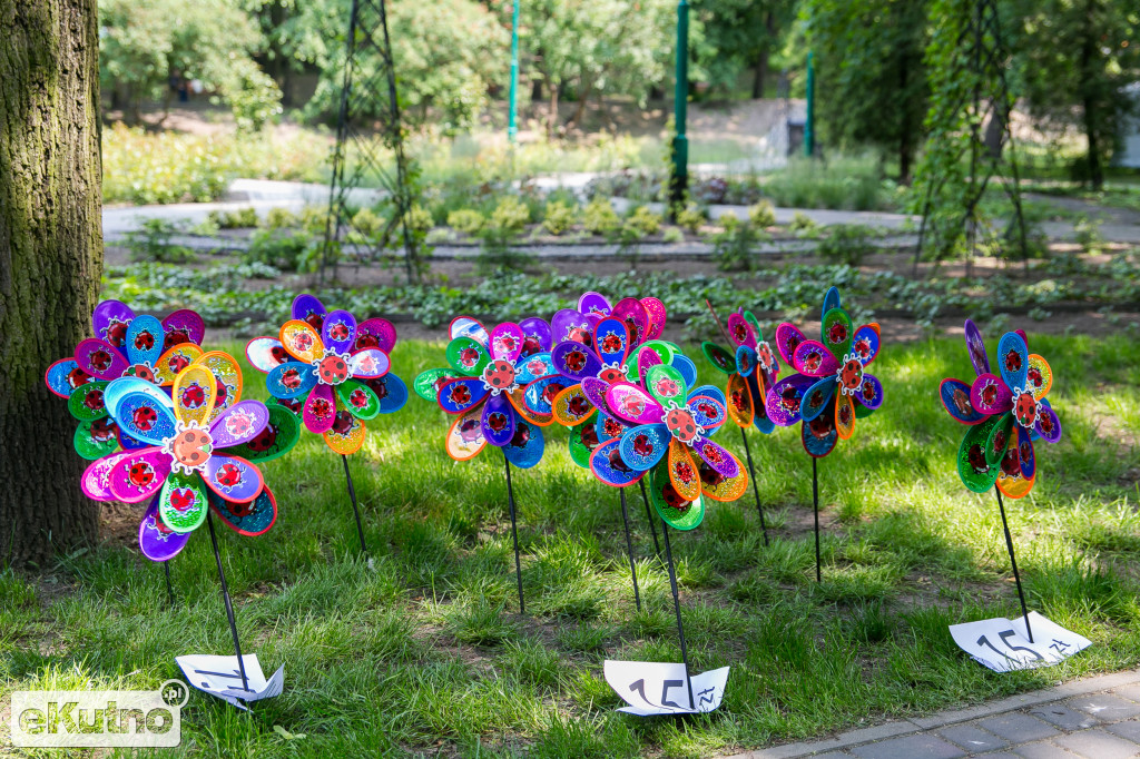 Piknik wśród Róż 2019