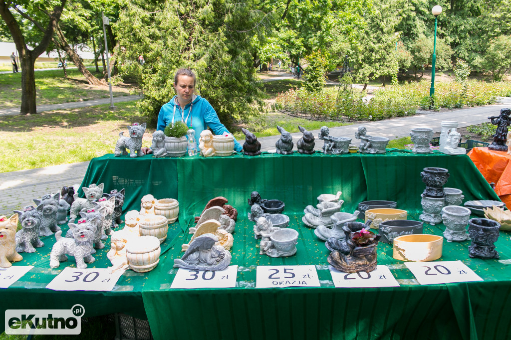Piknik wśród Róż 2019