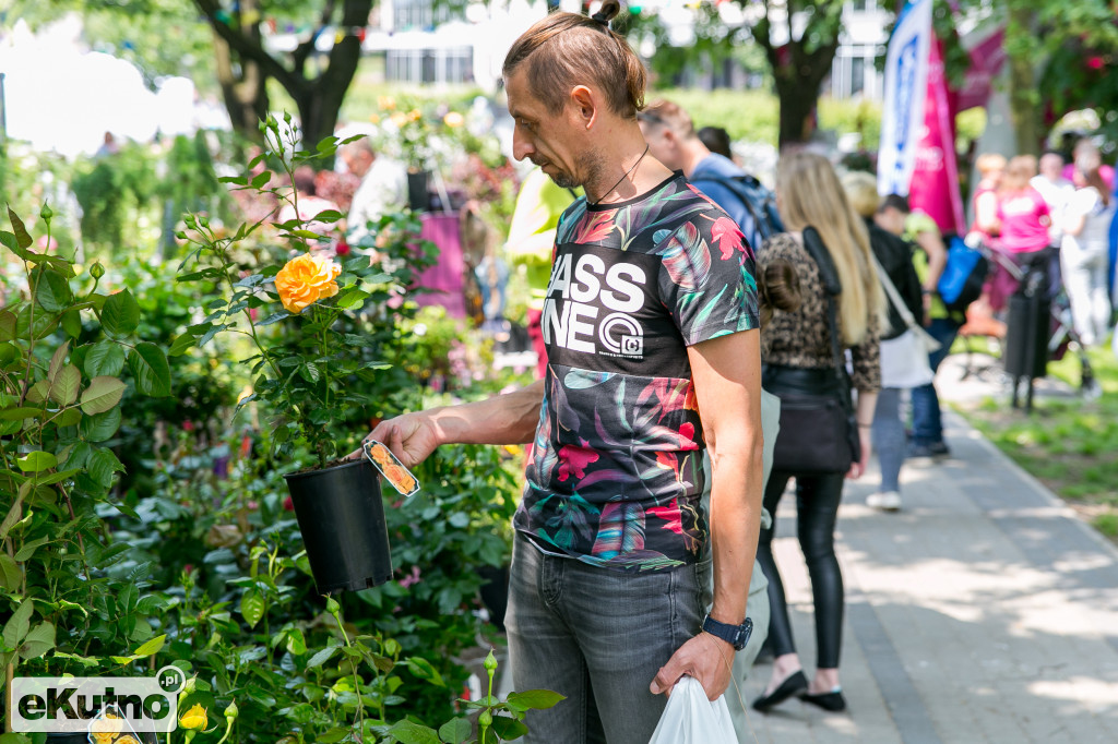 Piknik wśród Róż 2019