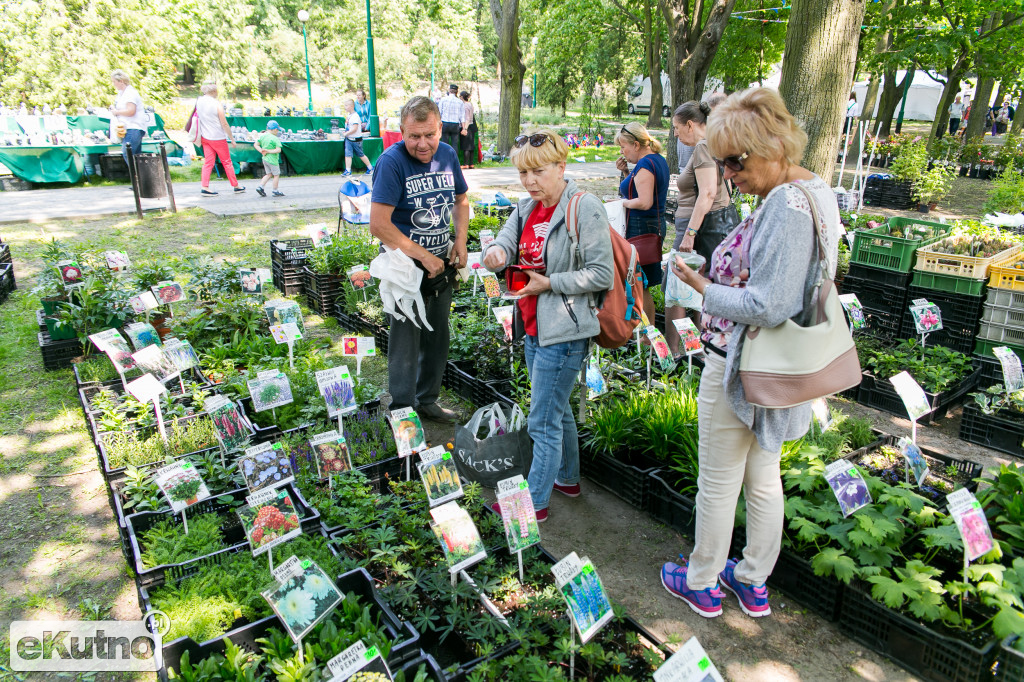Piknik wśród Róż 2019
