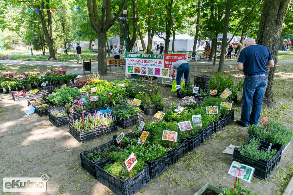 Piknik wśród Róż 2019