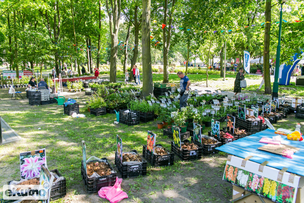 Piknik wśród Róż 2019