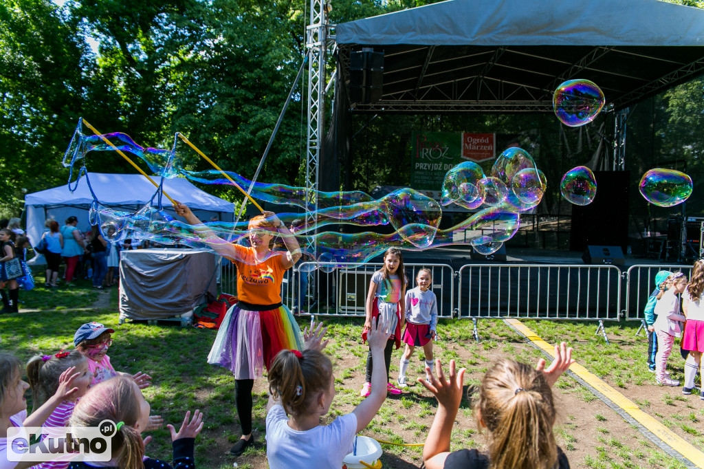 Piknik wśród Róż 2019