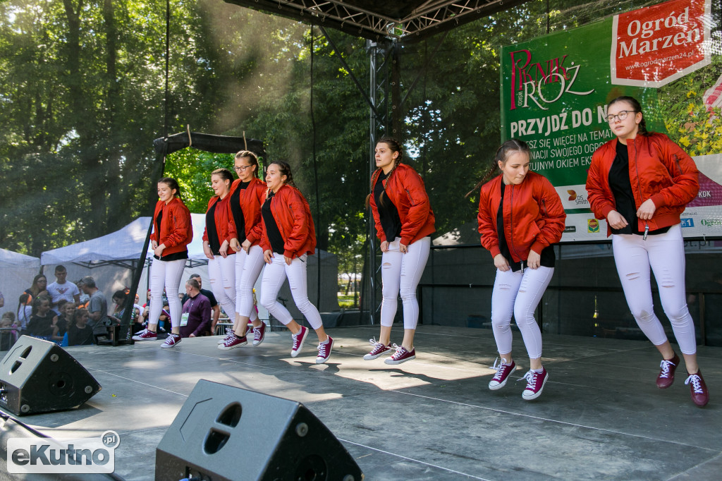 Piknik wśród Róż 2019