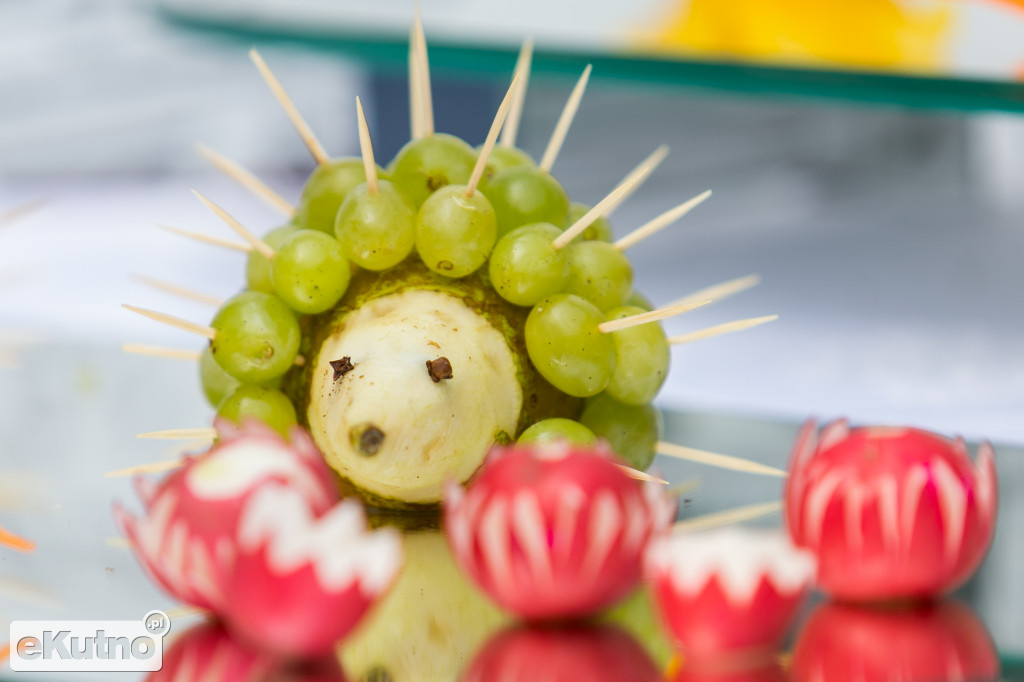 Piknik wśród Róż 2019