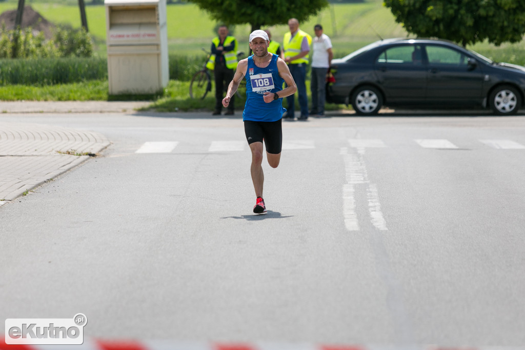Dzień Dziecka i Dni Krośniewic