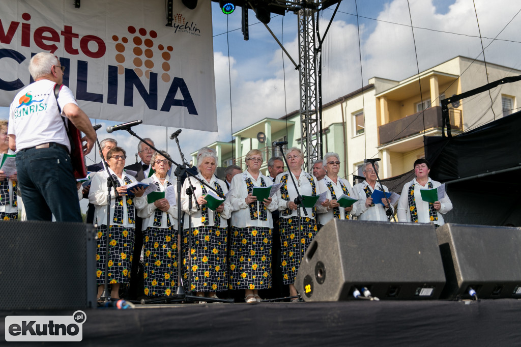 Koncertowy Dzień Dziecka w Żychlinie