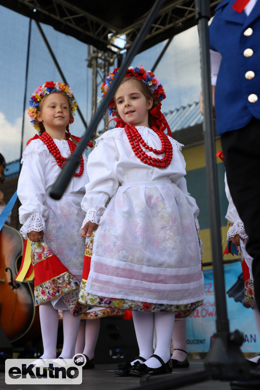 Piknik dla dzieci w Kutnie (1)