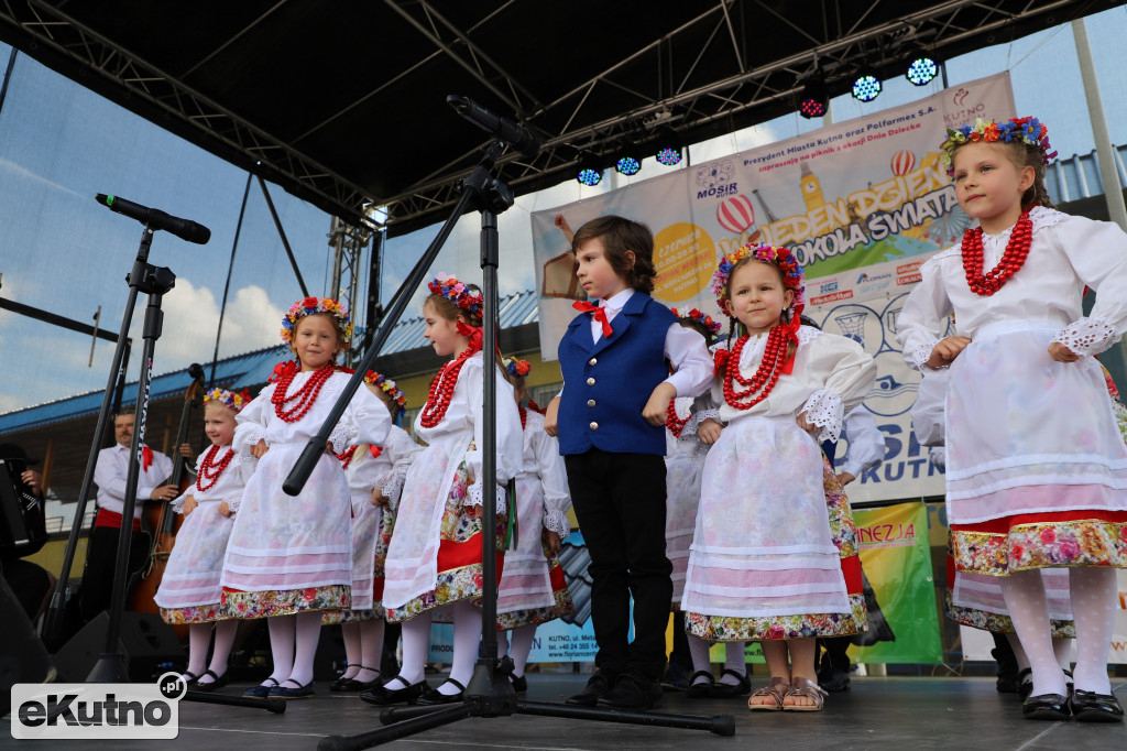 Piknik dla dzieci w Kutnie (1)