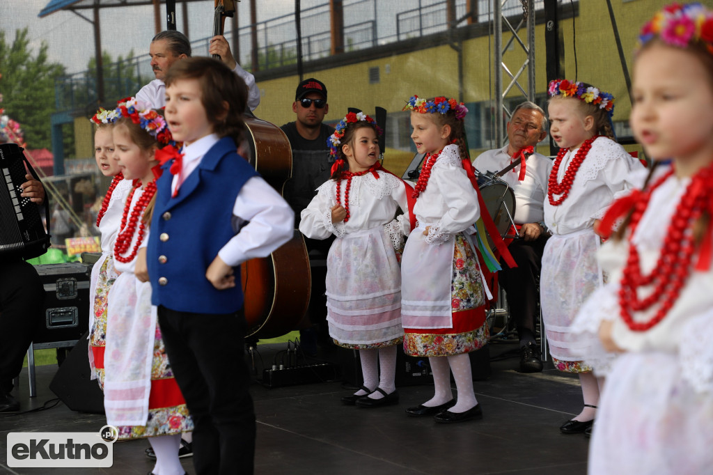 Piknik dla dzieci w Kutnie (1)