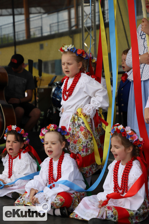 Piknik dla dzieci w Kutnie (1)
