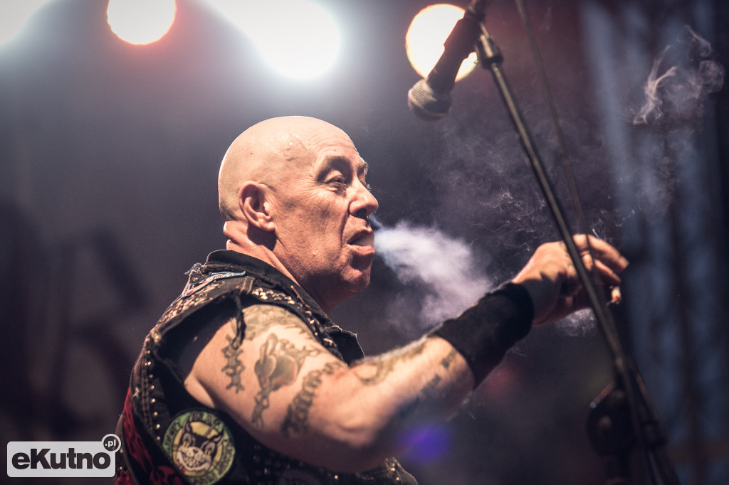 Rock & Rose Fest 2019