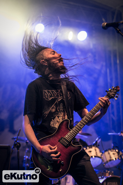 Rock & Rose Fest 2019