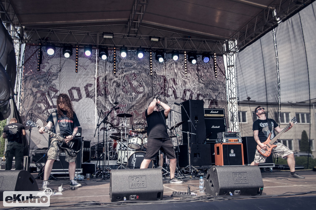 Rock & Rose Fest 2019