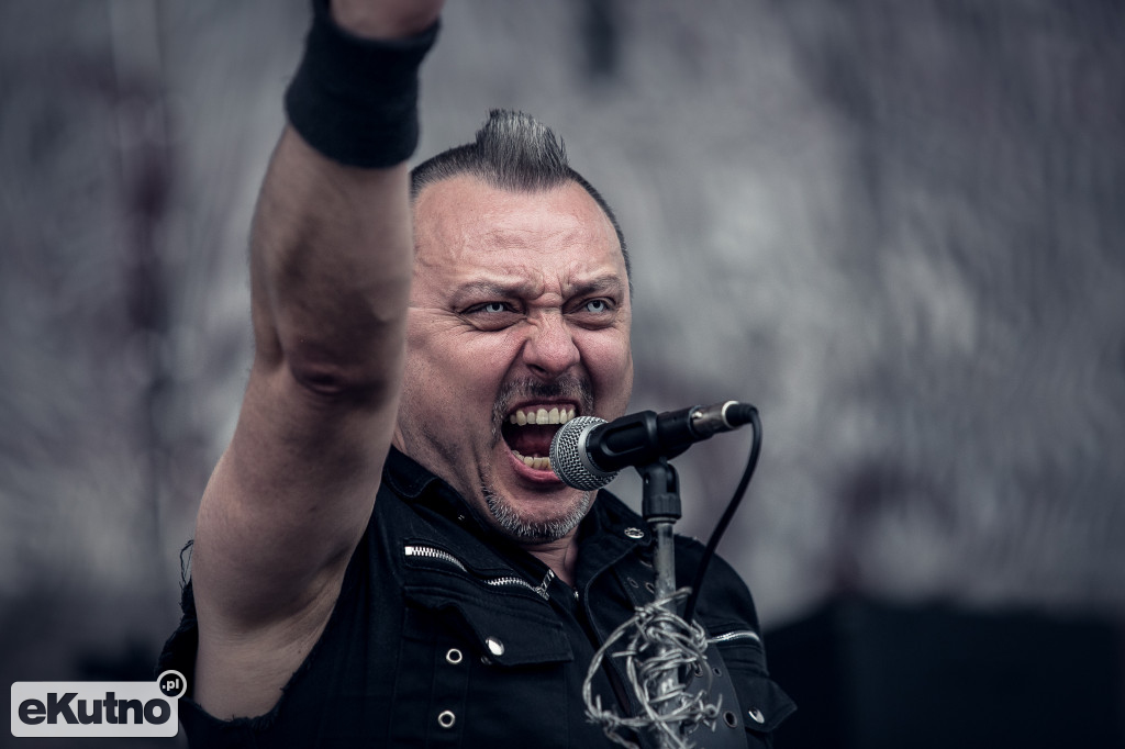 Rock & Rose Fest 2019