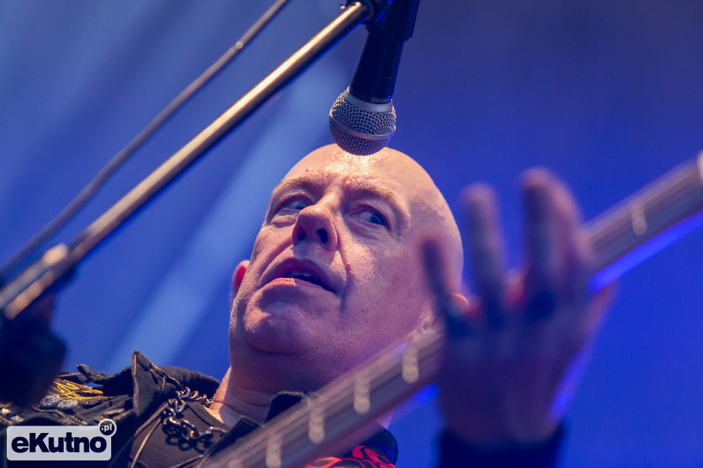 Rock & Rose Fest 2019
