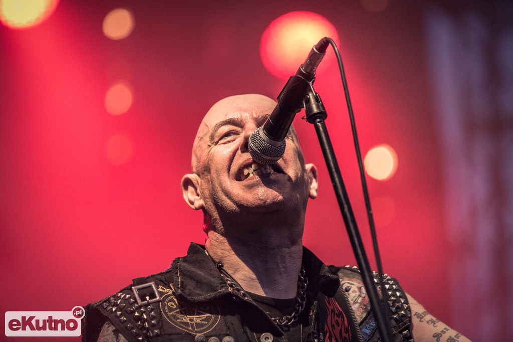 Rock & Rose Fest 2019