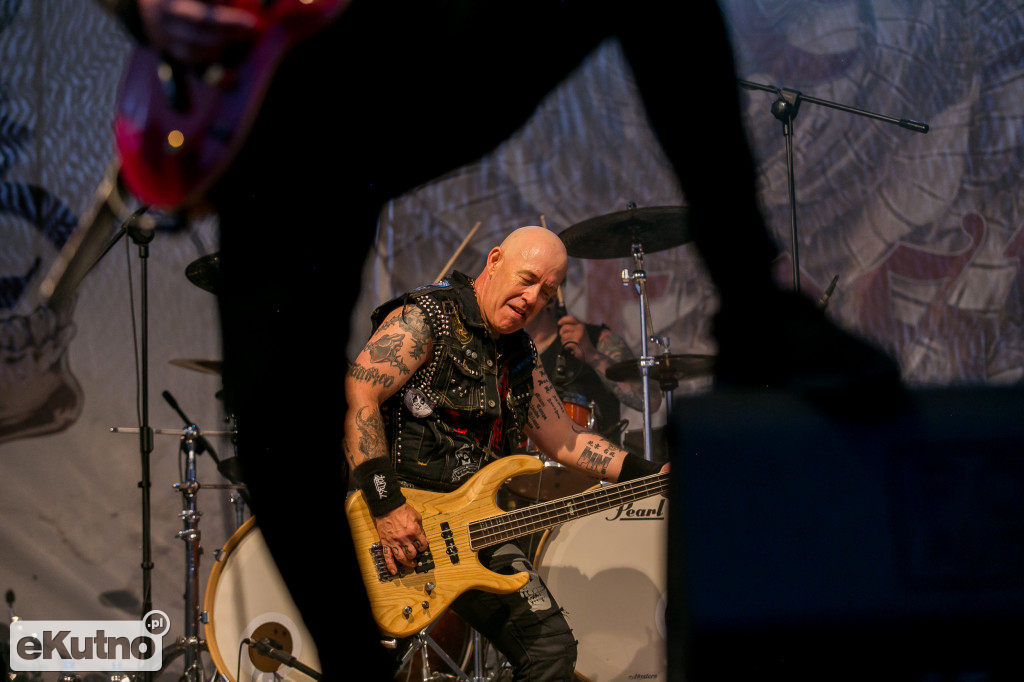 Rock & Rose Fest 2019