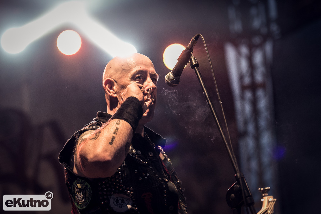 Rock & Rose Fest 2019