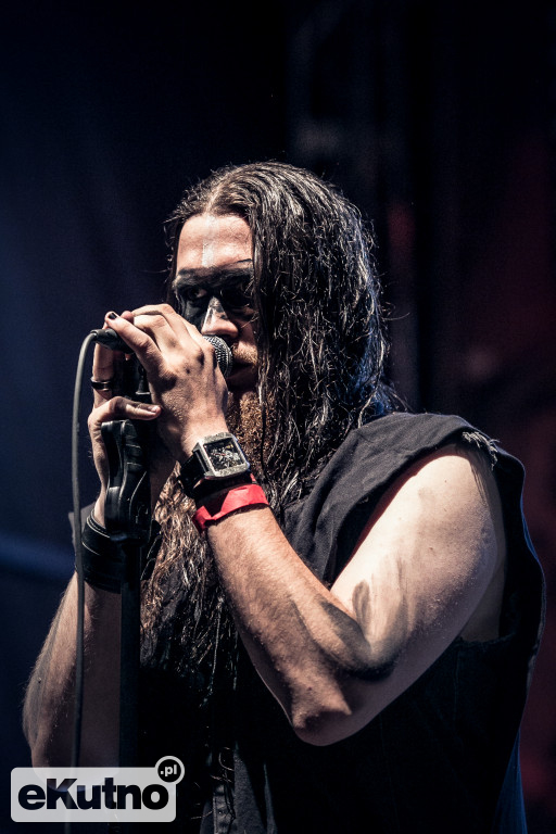 Rock & Rose Fest 2019