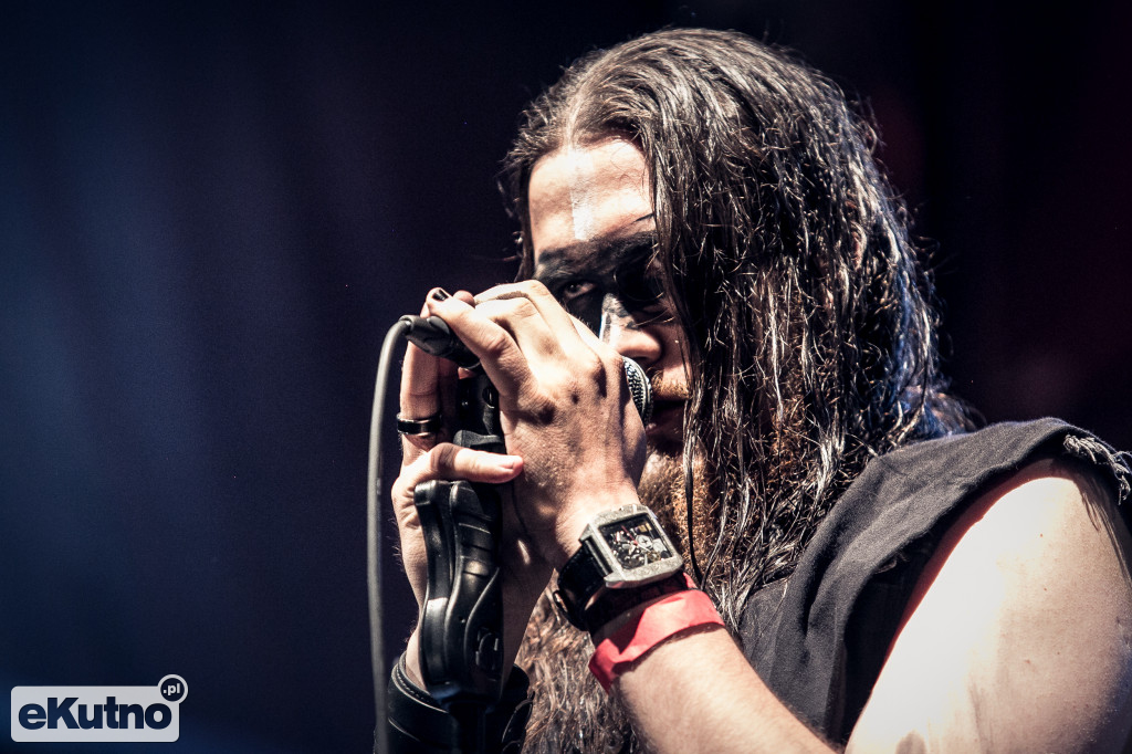 Rock & Rose Fest 2019