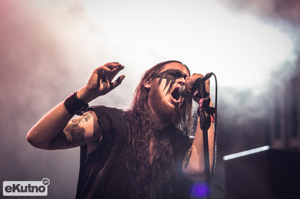 Rock & Rose Fest 2019