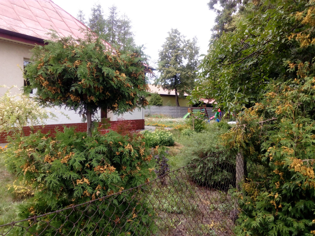 Gminne obrazki