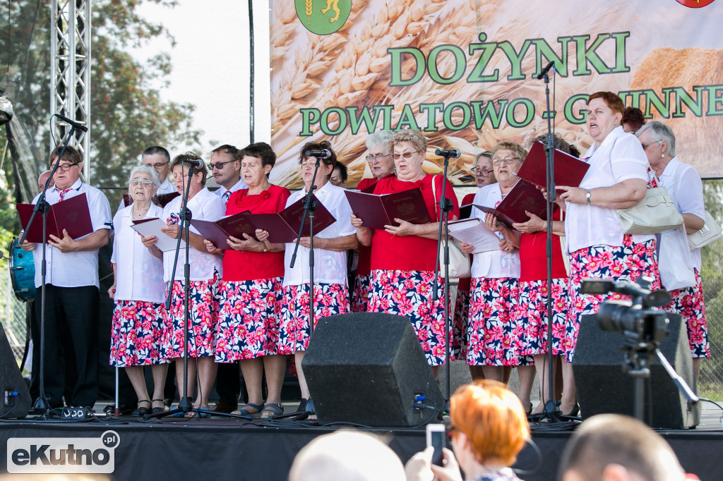 Dożynki powiatowo-gminne Strzelce