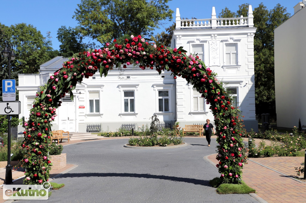 Floryści w akcji! Kutno 2019