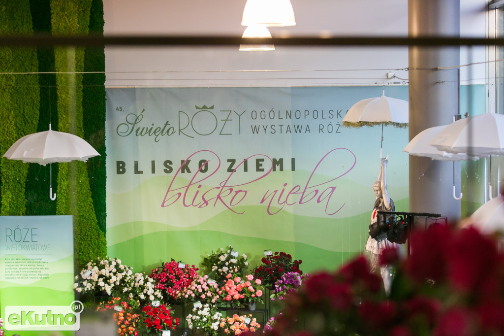 Blisko ziemi, blisko nieba...