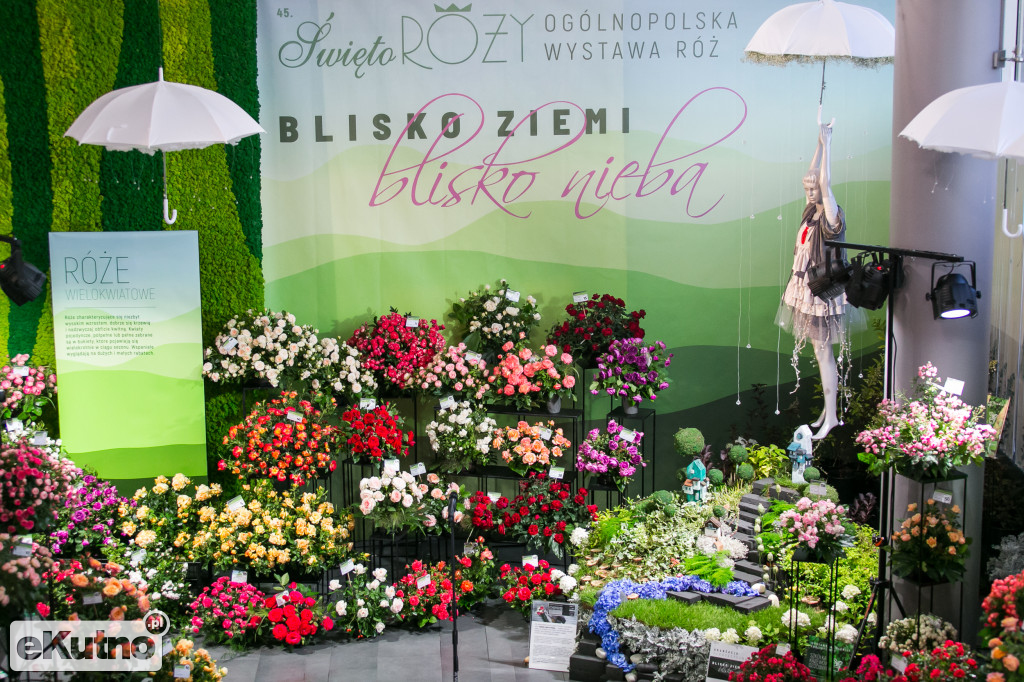 Blisko ziemi, blisko nieba...