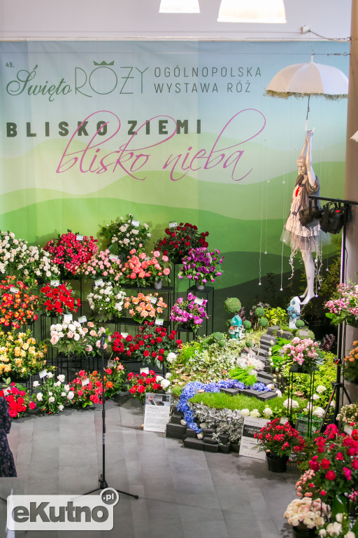 Blisko ziemi, blisko nieba...