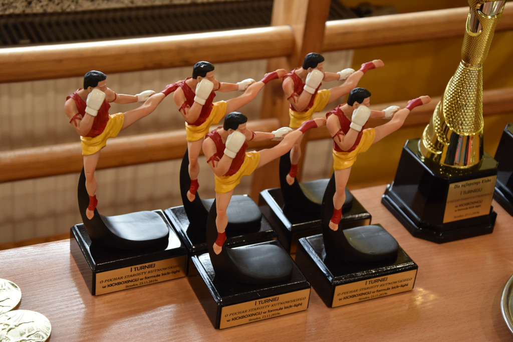  Turniej w kickboxingu