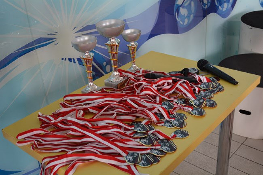 Mikołajkowe Zawody Pływackie