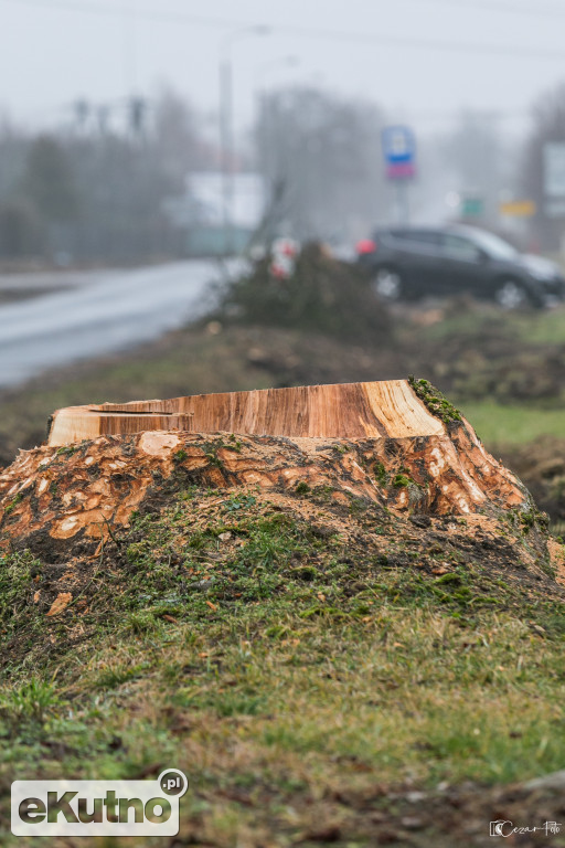 Budowa drogi w Gołębiewie
