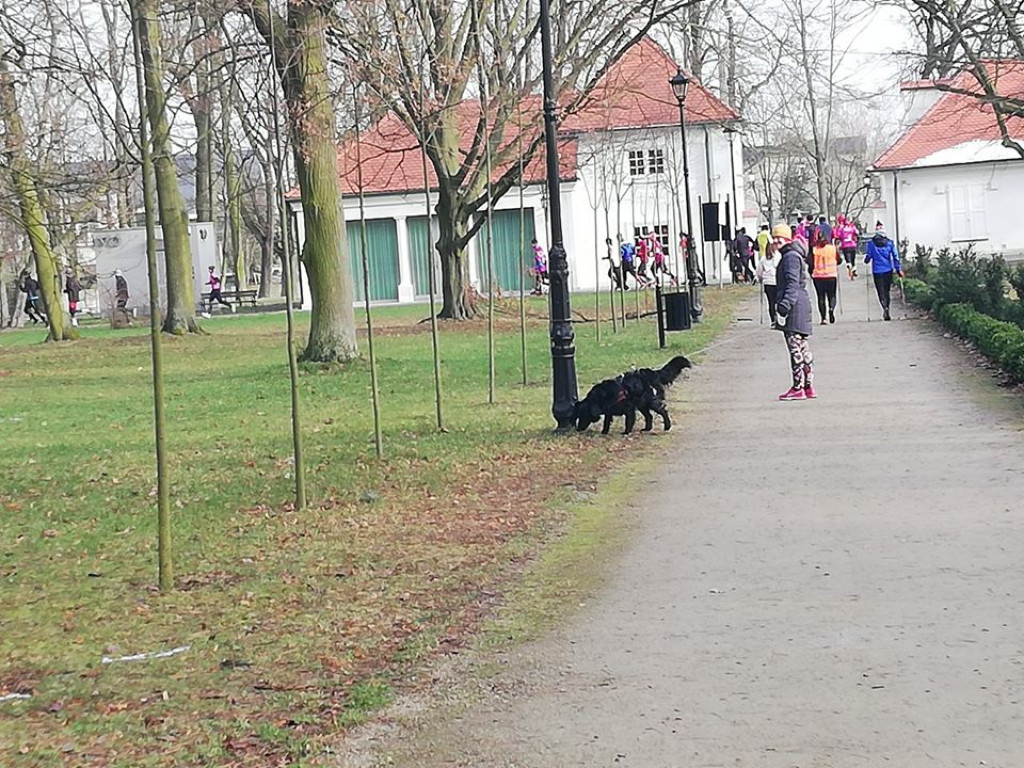 Bieg na szpilkach