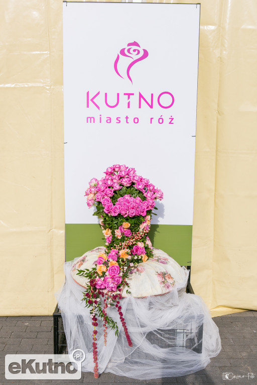 Święto Róży - dzień drugi