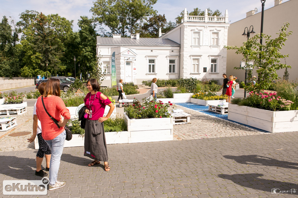 Święto Róży - dzień drugi