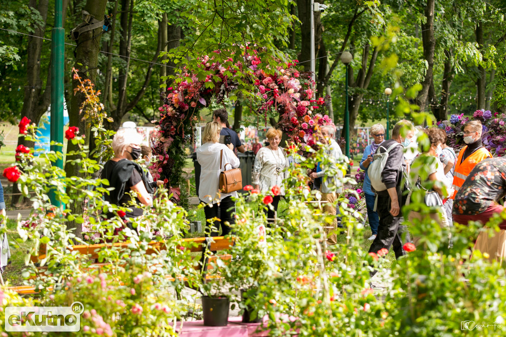 Święto Róży - dzień drugi